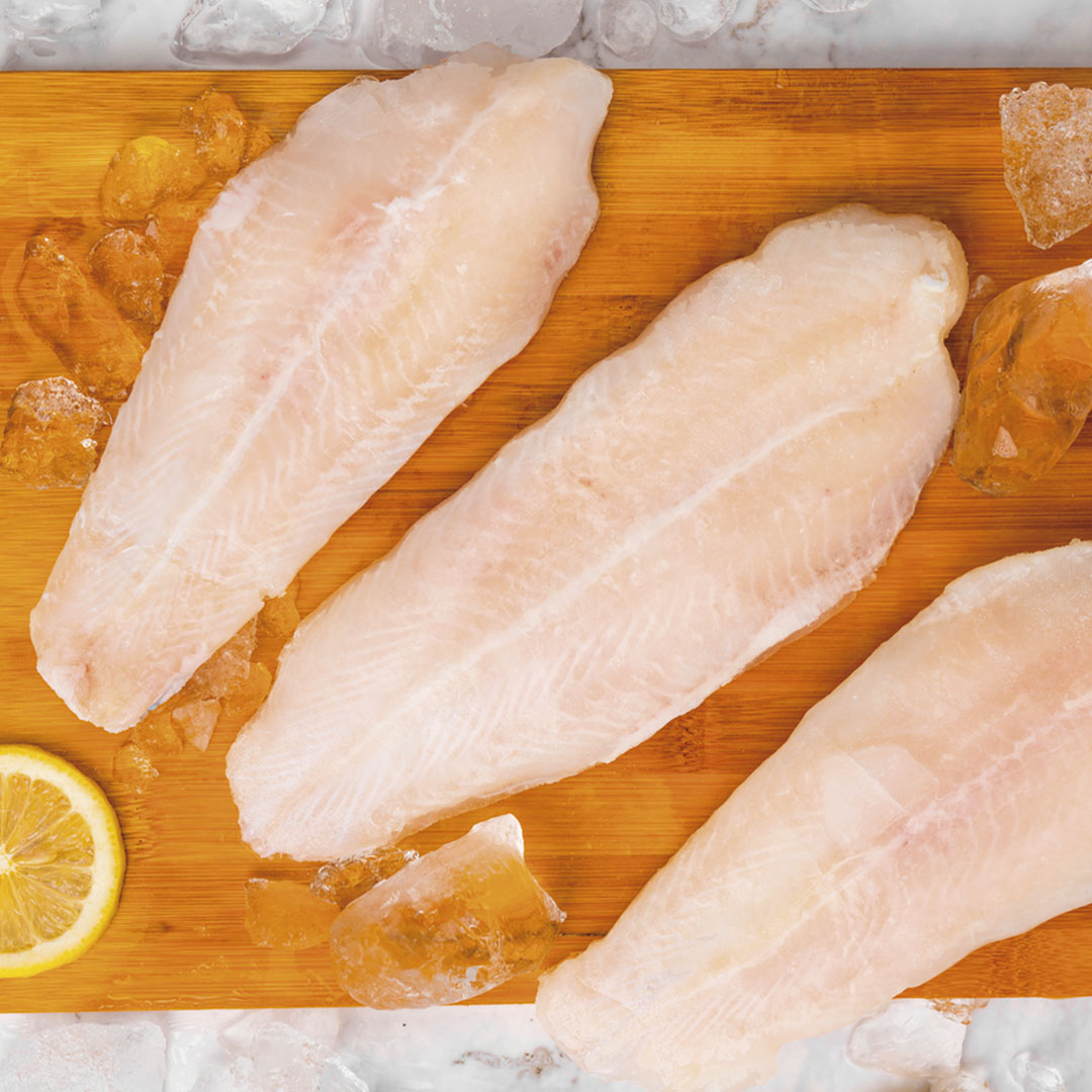 Corvinilla filetes