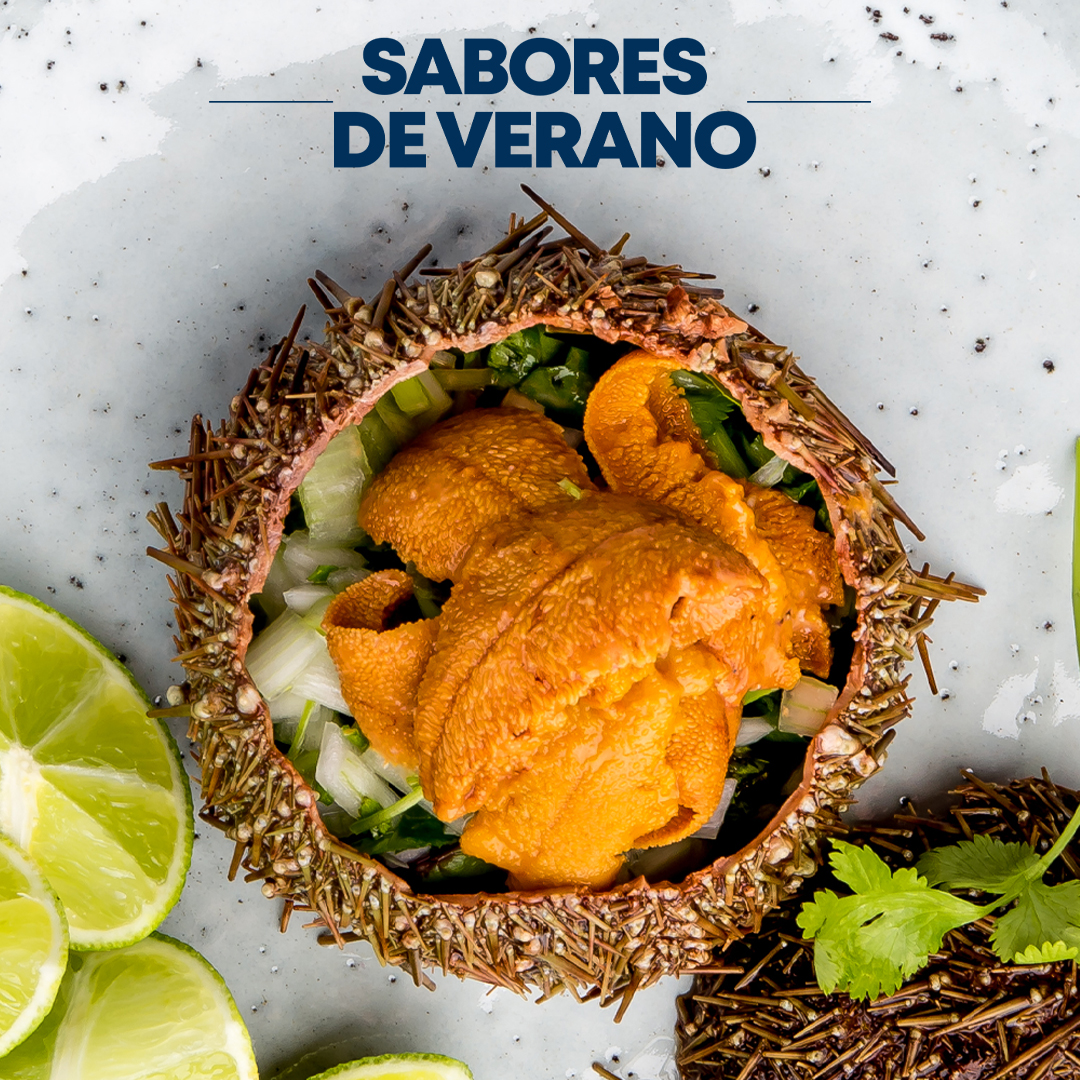 Erizos del norte lenguas